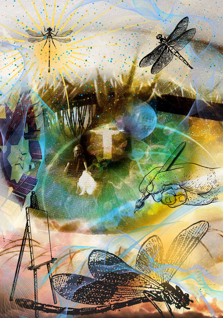 Dragonfly image 1