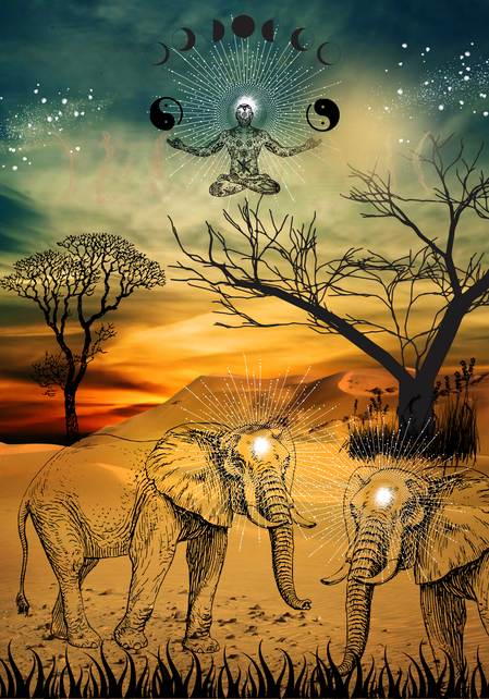 Elephant image 1