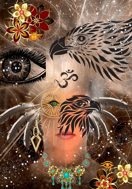 Hawk image 1