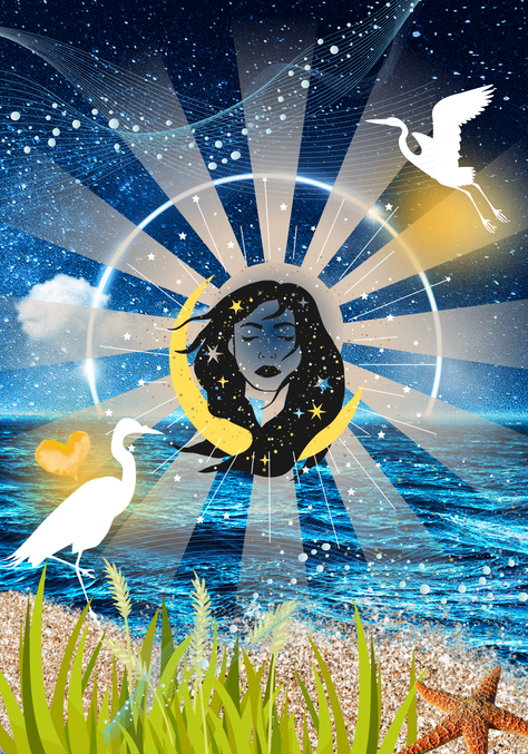 Heron image 1