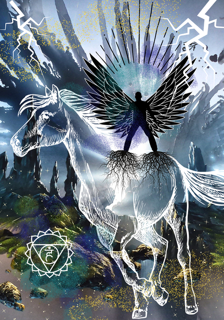 Horse image 1