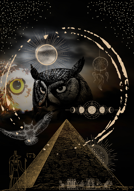 Owl image 1