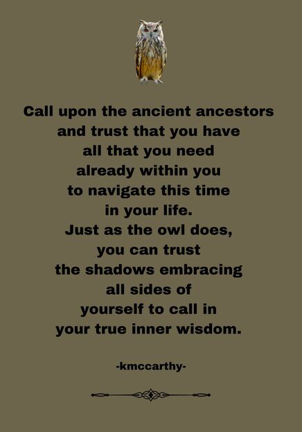 Owl image 2