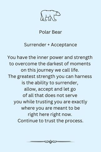 Polar Bear image 2