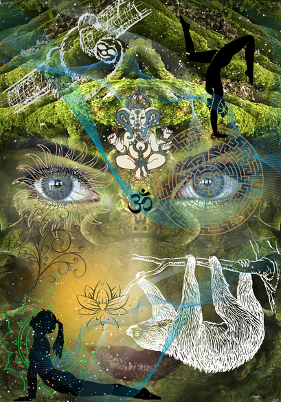 Sloth image 1