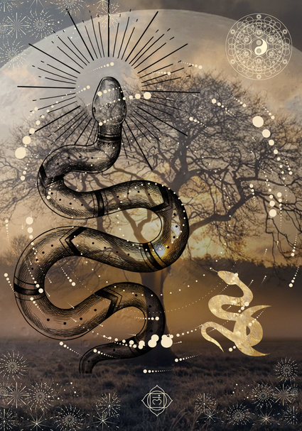 Snake image 1